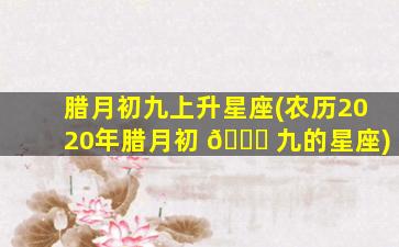 腊月初九上升星座(农历2020年腊月初 🐎 九的星座)